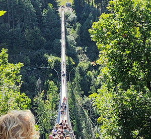 Auf diesem Bild sieht man eine Hängeseilbrücke.