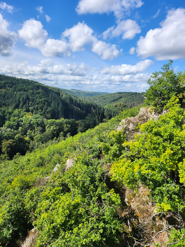 Auf diesem Bild hat man einen Blick über die Hügel des Hunsrücks.