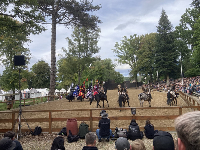 Auf diesem Bild sieht man Ritter auf ihren Pferden.